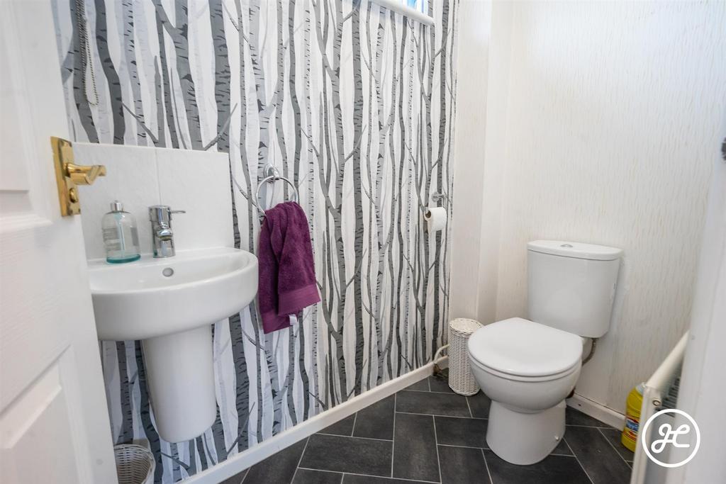 DSC01937.jpg