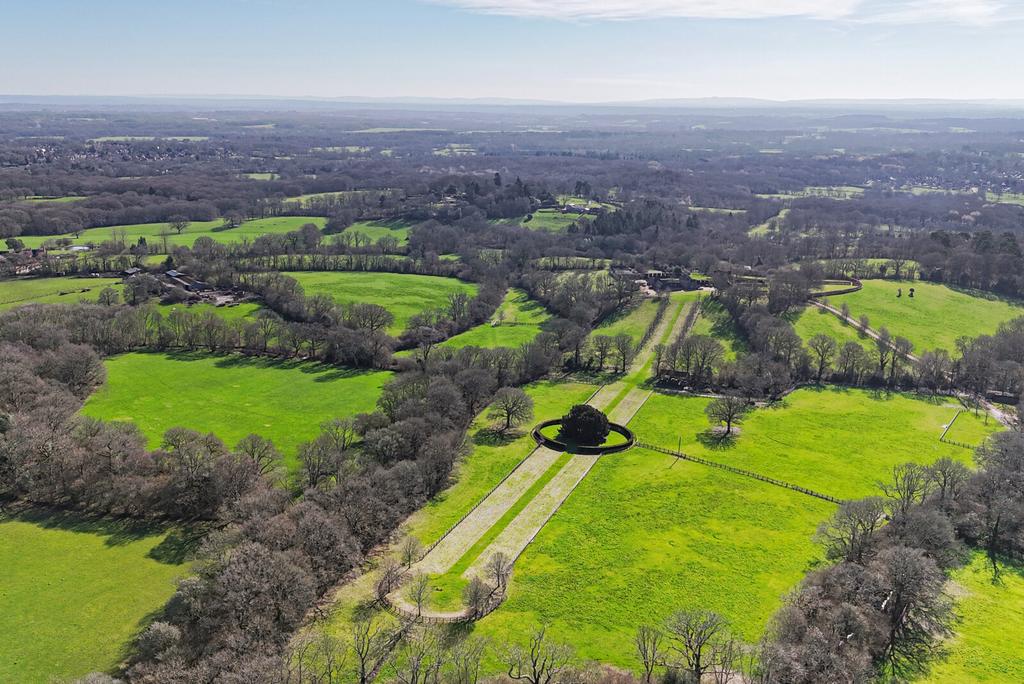 Picture 19