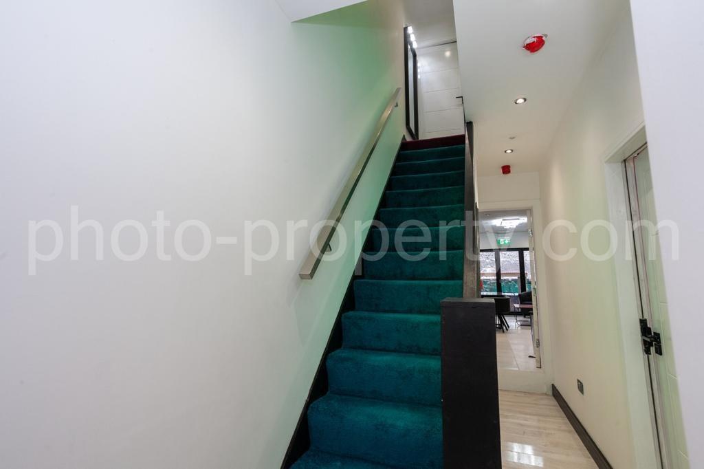 Bright, modern entrance staircase with teal car...