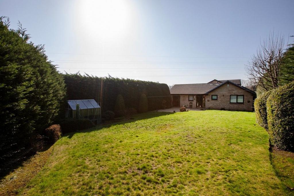 Rear lawned garden