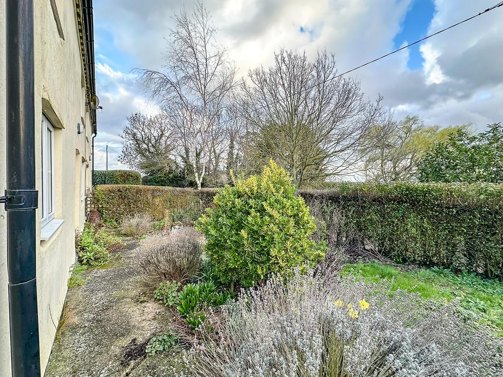 Garden (4)