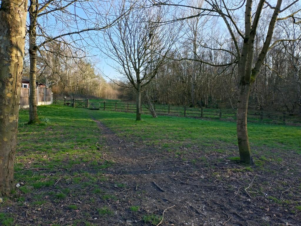 Nearby Open Space