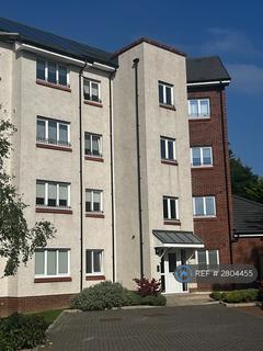 2 bedroom flat to rent, Craig Terrace, Glasgow, G44