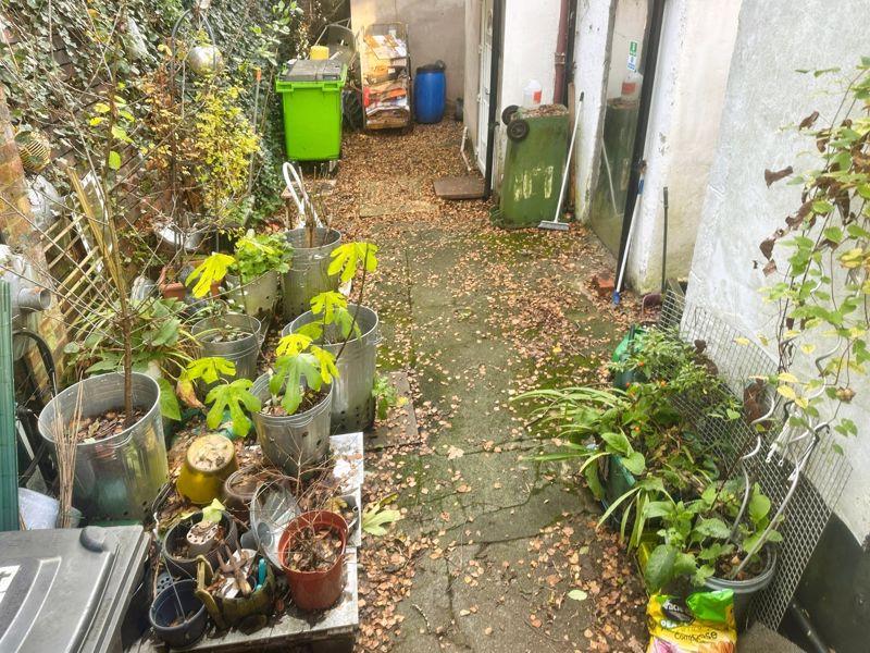 Rear Yard