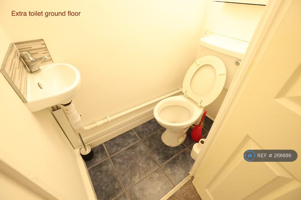 Extra Toilet
