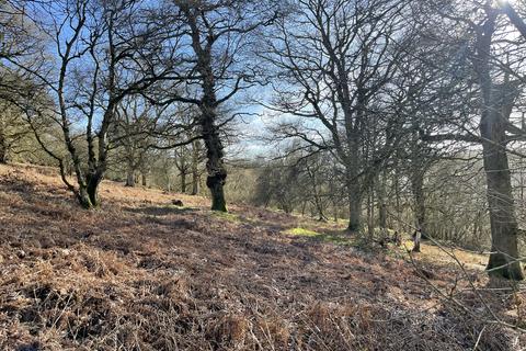 undefined, Vron Wood, Bettws-y-Crwyn, Beguildy LD7