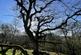 Additional image 2 of Vron Wood, Bettws-y-Crwyn, Beguildy LD7