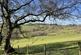 Additional image 14 of Vron Wood, Bettws-y-Crwyn, Beguildy LD7
