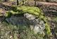 Additional image 15 of Vron Wood, Bettws-y-Crwyn, Beguildy LD7