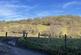 Additional image 18 of Vron Wood, Bettws-y-Crwyn, Beguildy LD7