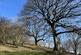 Additional image 4 of Vron Wood, Bettws-y-Crwyn, Beguildy LD7