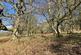 Additional image 5 of Vron Wood, Bettws-y-Crwyn, Beguildy LD7