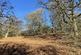 Additional image 6 of Vron Wood, Bettws-y-Crwyn, Beguildy LD7