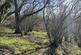 Additional image 7 of Vron Wood, Bettws-y-Crwyn, Beguildy LD7