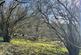 Additional image 9 of Vron Wood, Bettws-y-Crwyn, Beguildy LD7