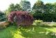 Eskdale Drive, Timperley photo 5
