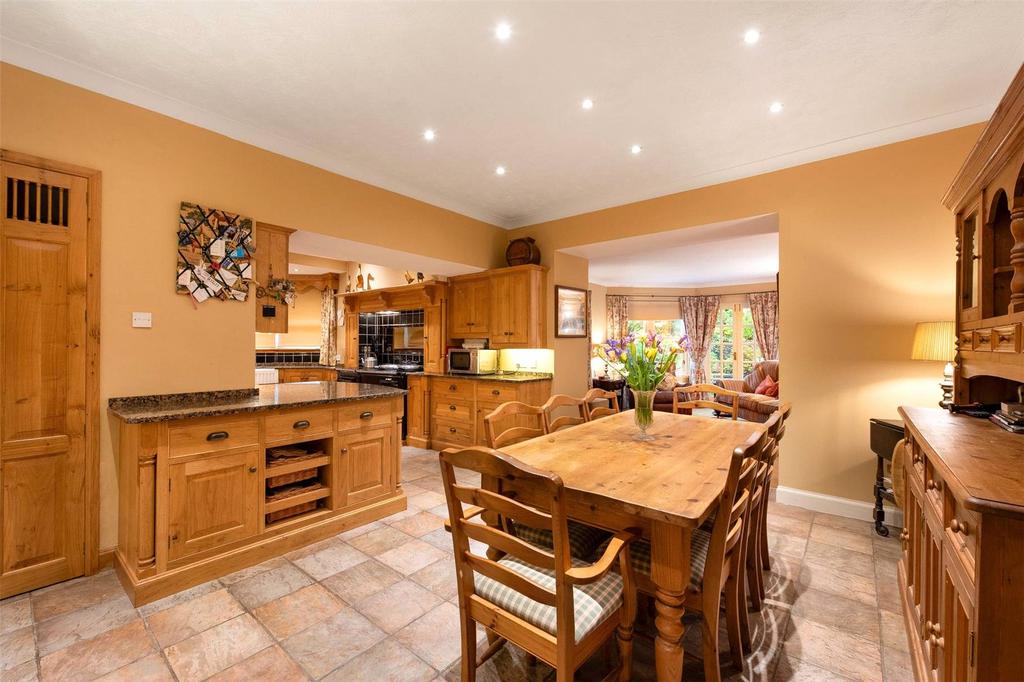 Kitchen / Dining