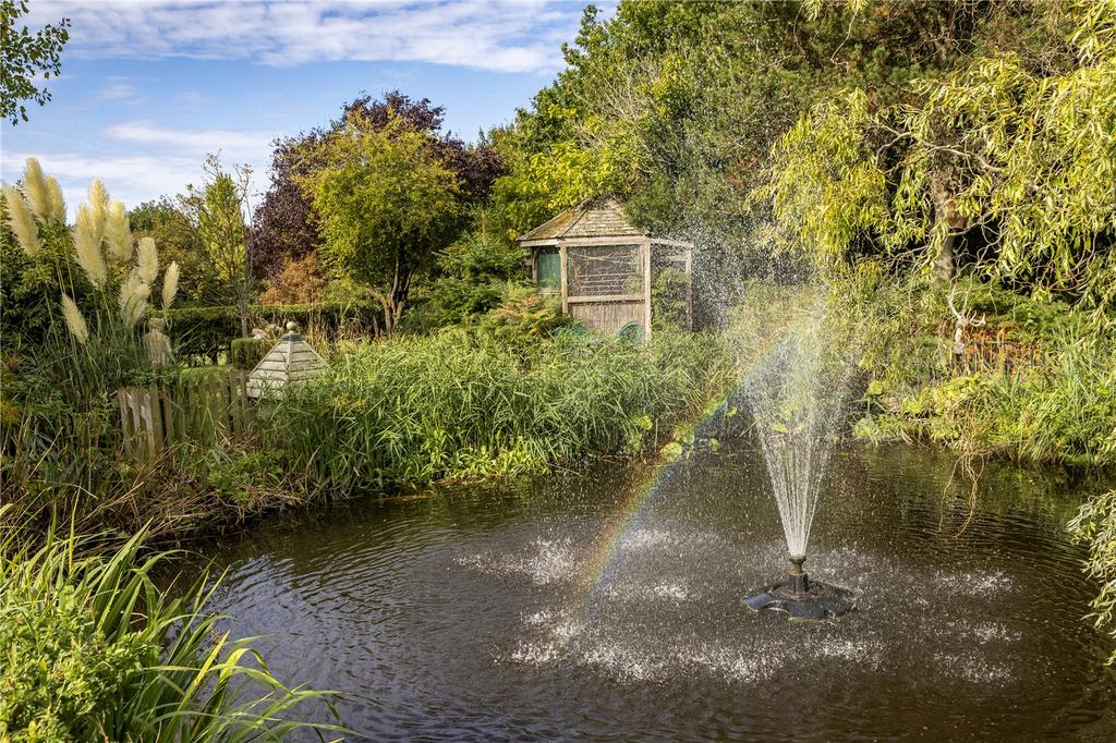 Pond