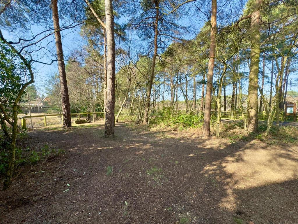 Elvetham Heath Nature Reserve
