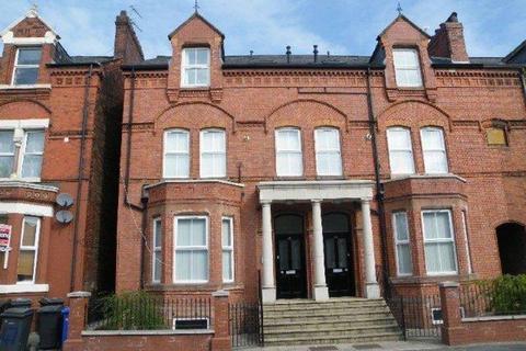 undefined, Wilson Patten Street, Warrington, WA1