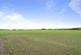 Additional image 33 of 6 Fenton Road, Gullane, East Lothian, EH31 2EU