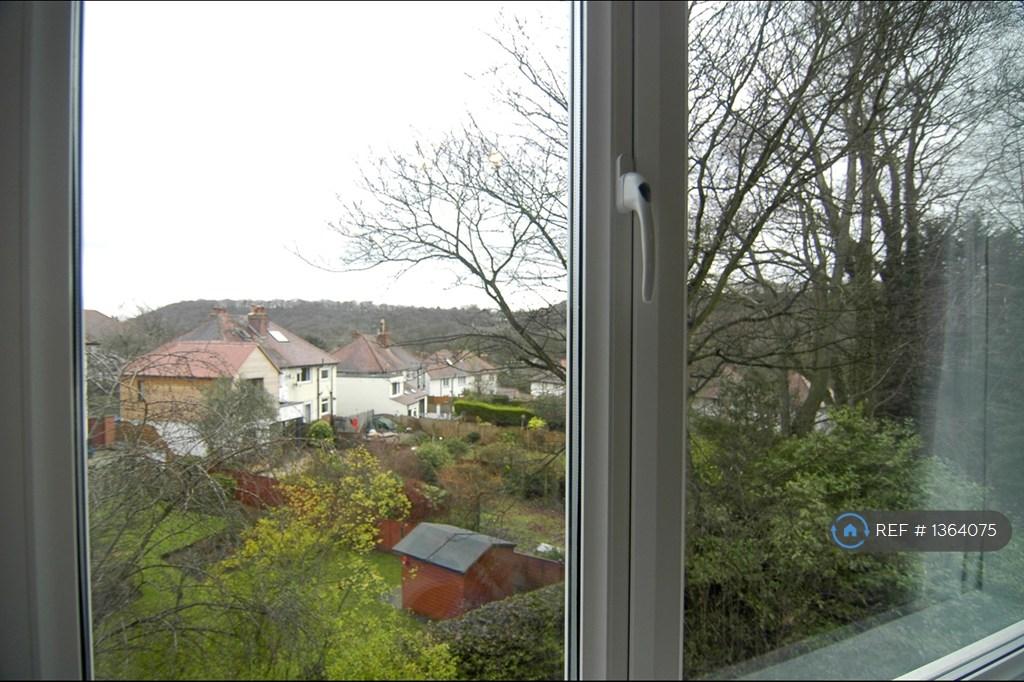 Master Bedroom - East Window