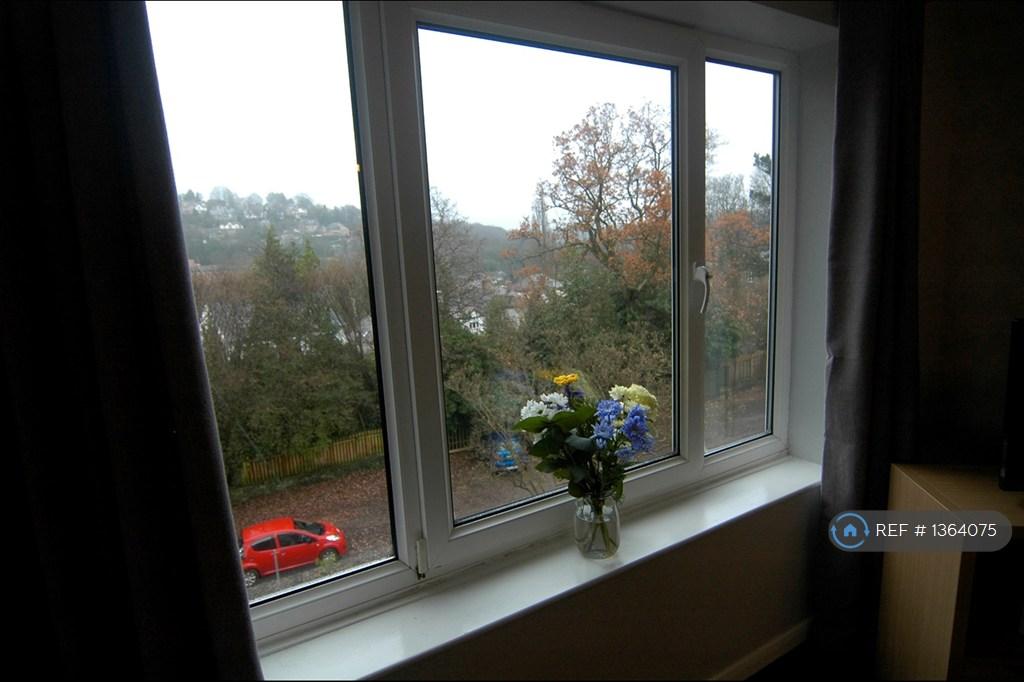 Kitchen-Living - South Window