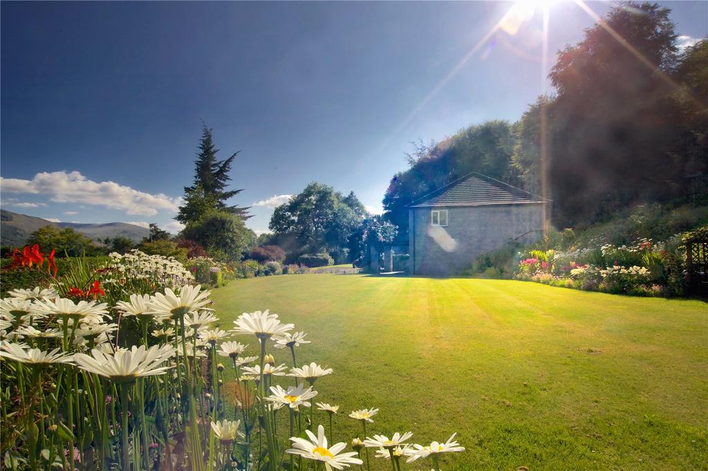 Garden In Summer