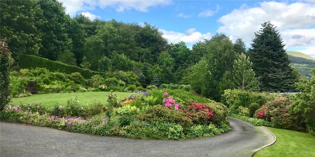 Garden In Summer