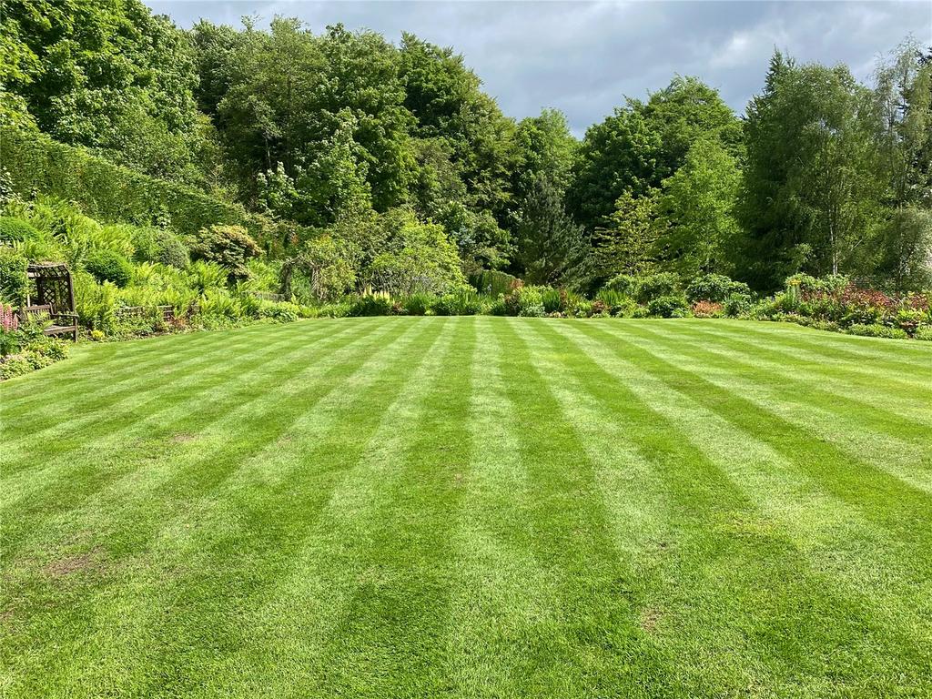 Garden In Summer