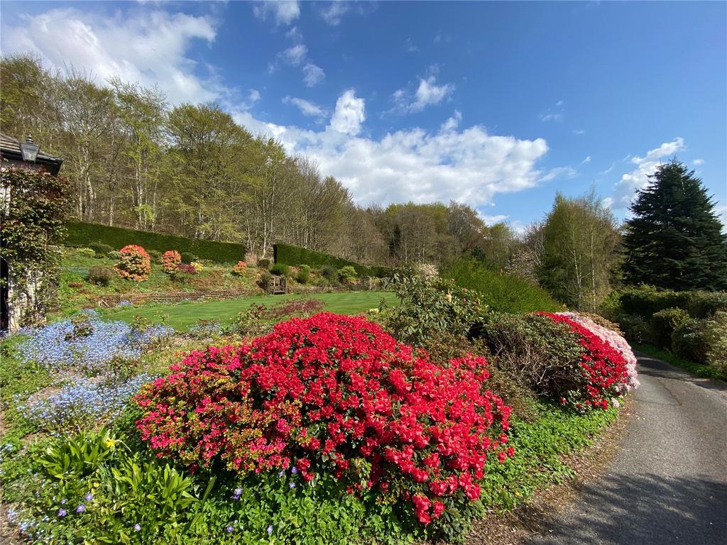 Garden In Summer