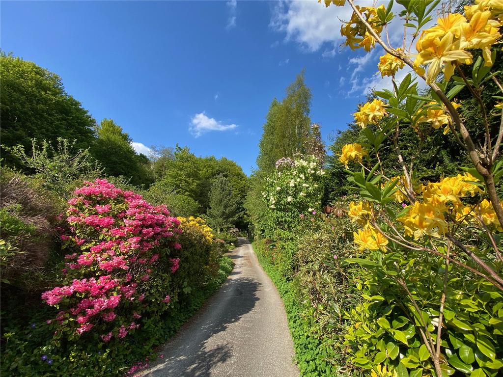 Garden In Summer