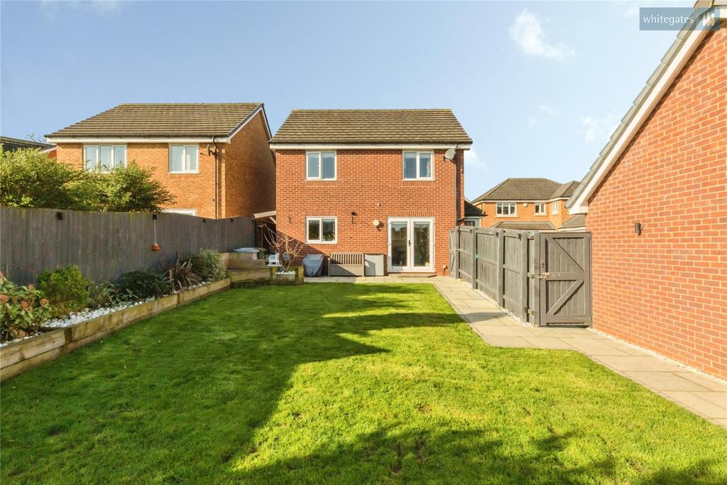 Picture No. 25