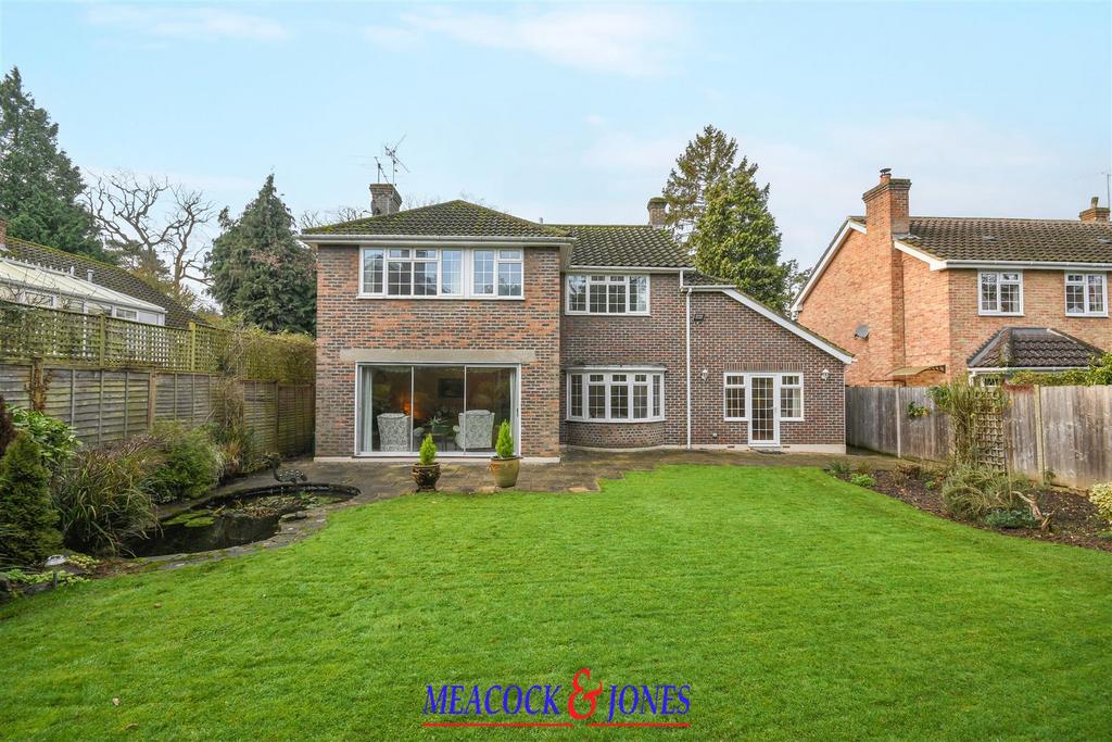DSC 0701 copy.jpg