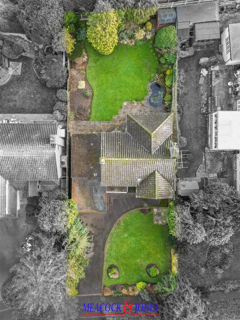 DJI 0648 copy 3.jpg