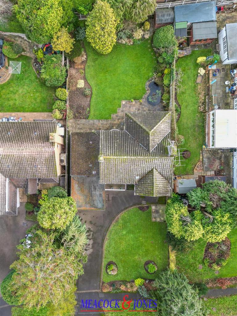 DJI 0648 copy 2 normal.jpg