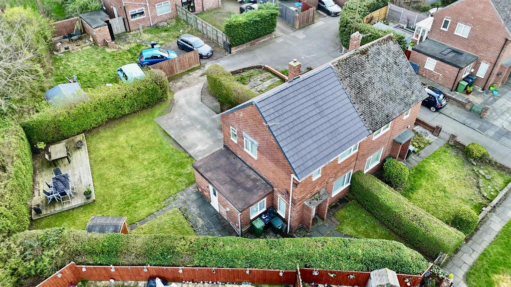 Dji fly 20260305 164306 0007 1772788602609 photo.J