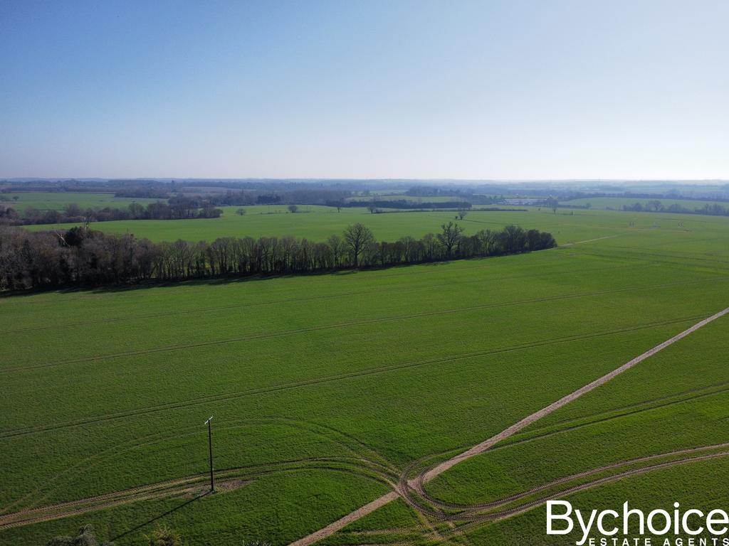 Dji fly 20260305 114344 472 1772711035215 photo op