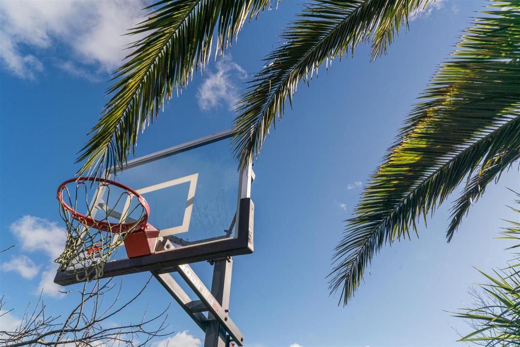 Basketball Court