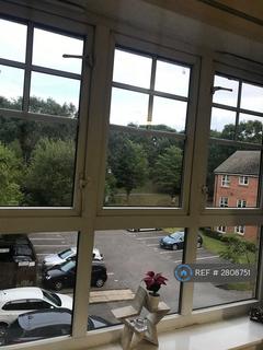 undefined, Tavistock Park, Leeds, LS12