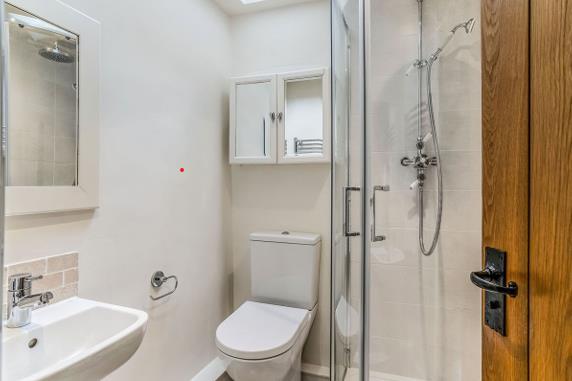Downstairs Shower Room