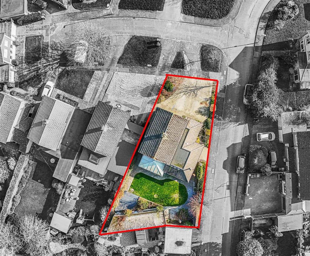 DJI 20260304144041 0014 D-1.jpg