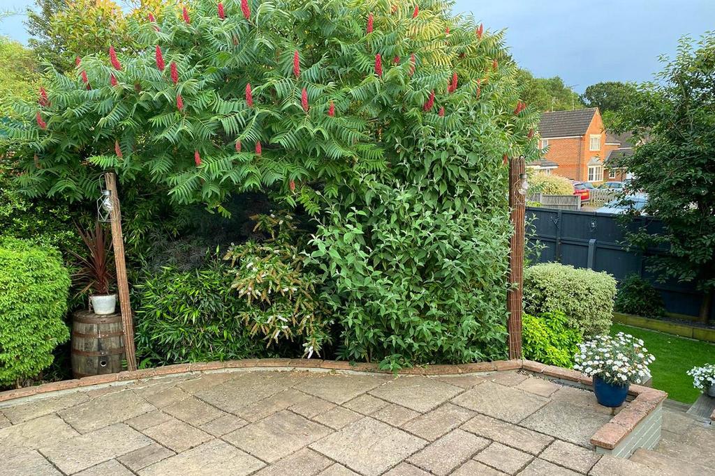 Garden (Photo Three)