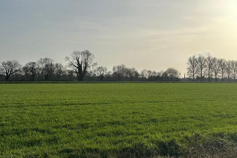 undefined, Mile Drove, Peakirk, Peterborough