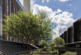 Additional image 24 of Knowsley Road, London SW11