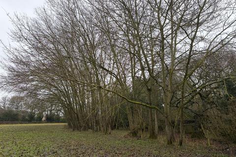 undefined, Boxted Road, Great Horkesley, Colchester