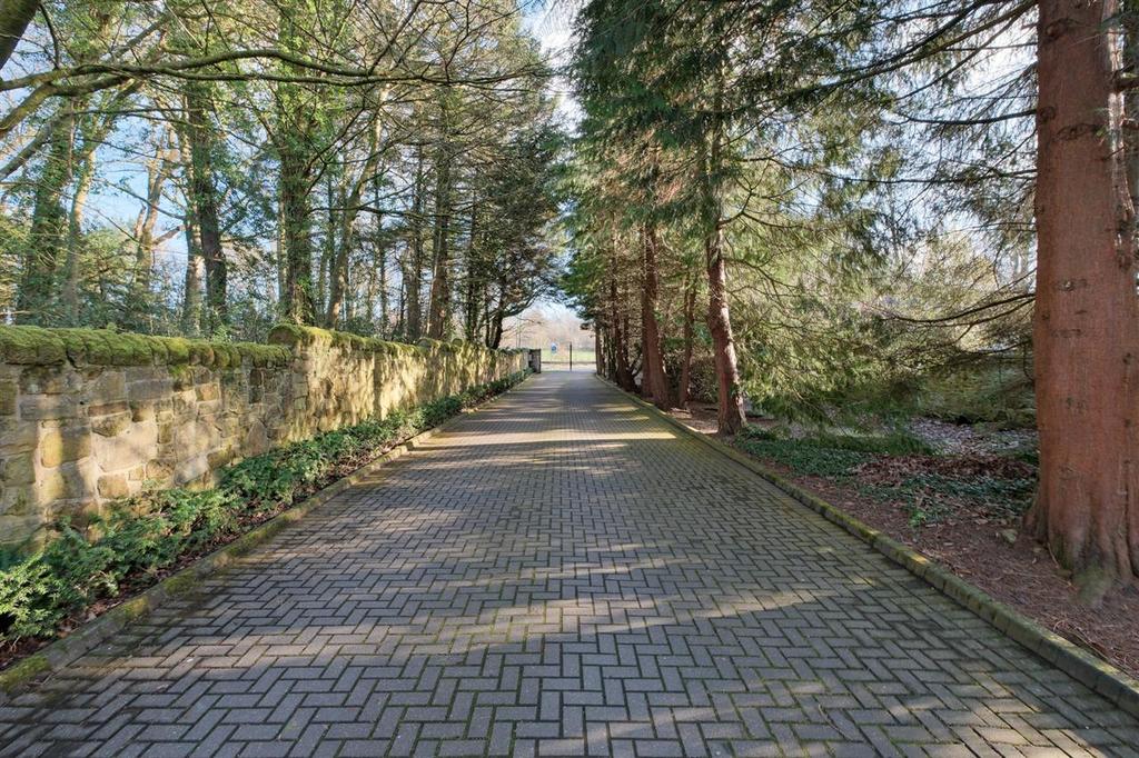 Entrance Driveway