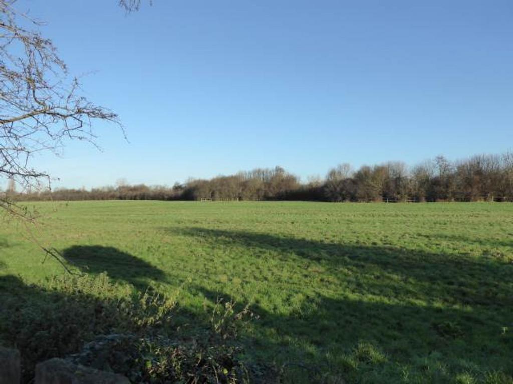 View of Coldhams Common