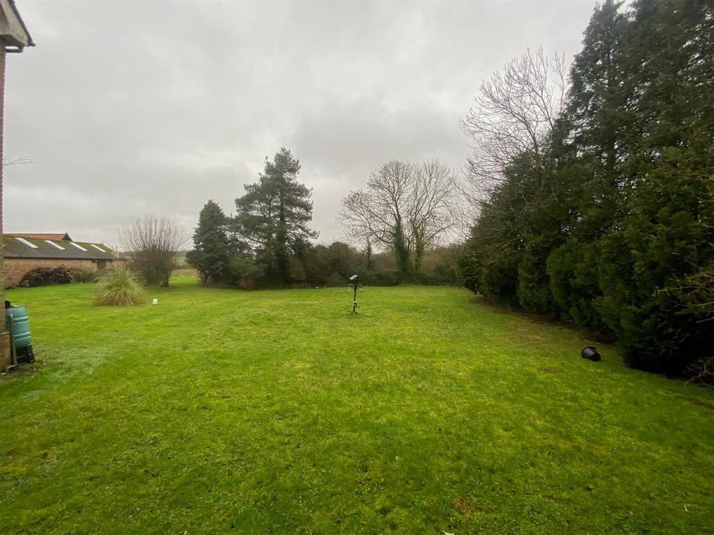 Shared garden.jpg