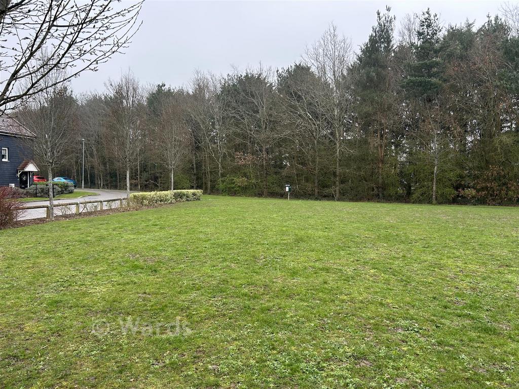 Surrounding Area